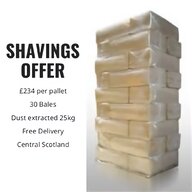 shavings for sale