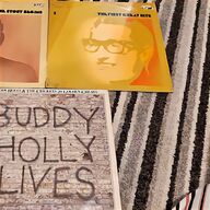 buddy holly for sale