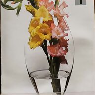 living vase for sale