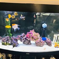 aquarium setup for sale