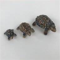 wade tortoise trinket box for sale