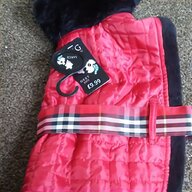jack russell coat for sale