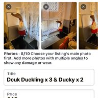 dcuk ducks for sale