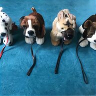 keel dogs for sale