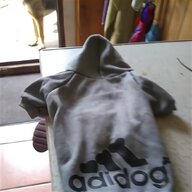 jack russell coat for sale