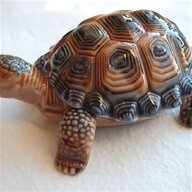 tortoise box for sale