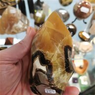 amber fossils for sale