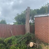 tree cutting for sale