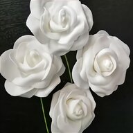 white foam roses for sale