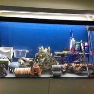 aquarium 4ft for sale