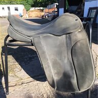 suede show saddle for sale