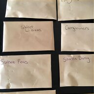 seed envelopes for sale