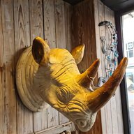 rhino horn for sale