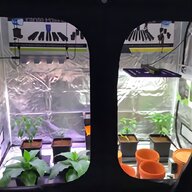 hydroponic grow kits for sale
