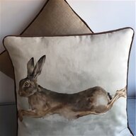 taxidermy hare for sale
