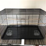 quail aviary for sale for sale