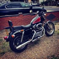 sportster for sale