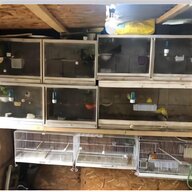 double breeding cages for sale
