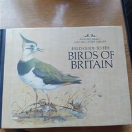 british birds for sale