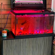 fish tank 120 litre for sale