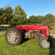 mf 65 tractor for sale