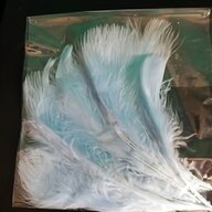 marabou for sale