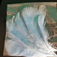 marabou feather for sale