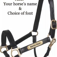 personalised headcollar for sale