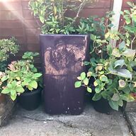 giant garden planters for sale