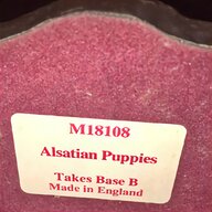 alsatian puppies for sale