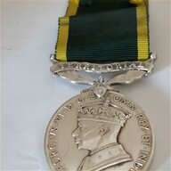 territorial efficiency medal for sale