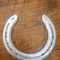 lucky horseshoe for sale