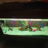 cold water tank for sale