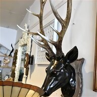 fallow deer heads for sale