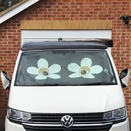 vw curtain for sale
