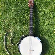 12 string banjo for sale