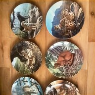 cat plates for sale