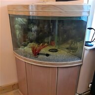 eheim fish tank for sale
