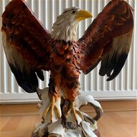 bald eagle for sale