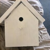 bird boxes for sale