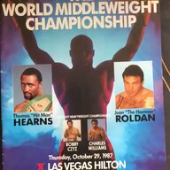 wwe world heavyweight championship for sale