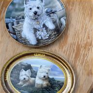 west highland terrier for sale
