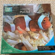 clownfish for sale