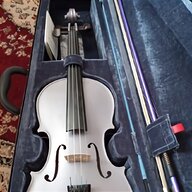 coloured violin for sale