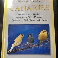 canary books for sale