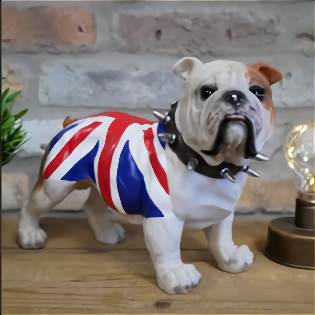 China Bulldogs for sale in UK | 24 used China Bulldogs