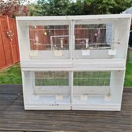 double breeding cages for sale