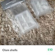 lotus clam for sale