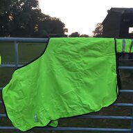 large kite for sale