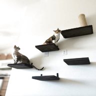 cat shelf for sale